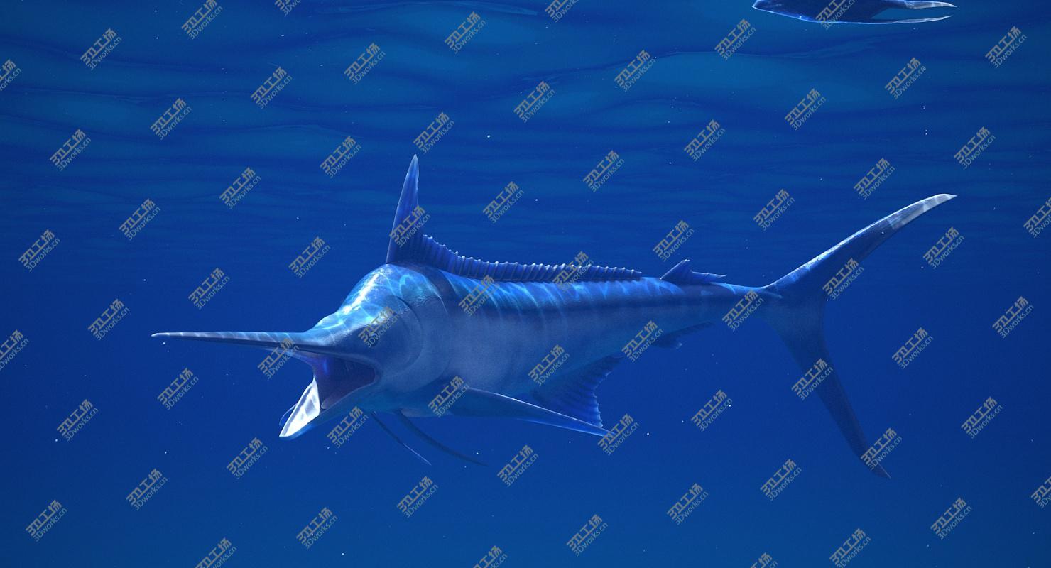 images/goods_img/2021040161/3D Blue Marlin Rigged model/2.jpg